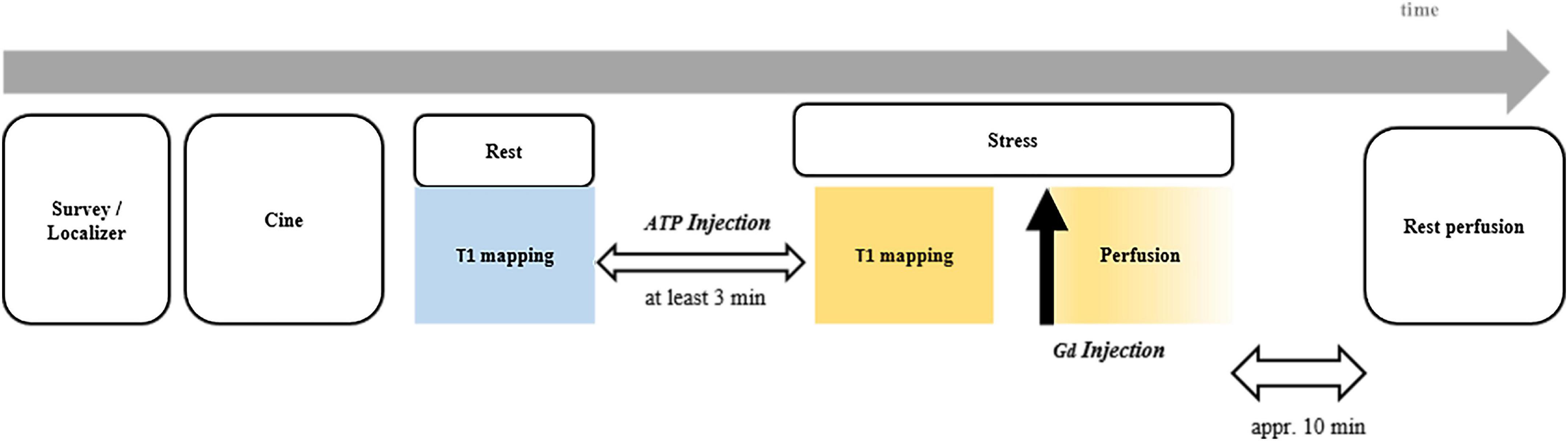 Stress CMR T1-mapping technique for assessment of coronary microvascular dysfunction in a rabbit model of type II diabetes mellitus: Validation against histopathologic changes